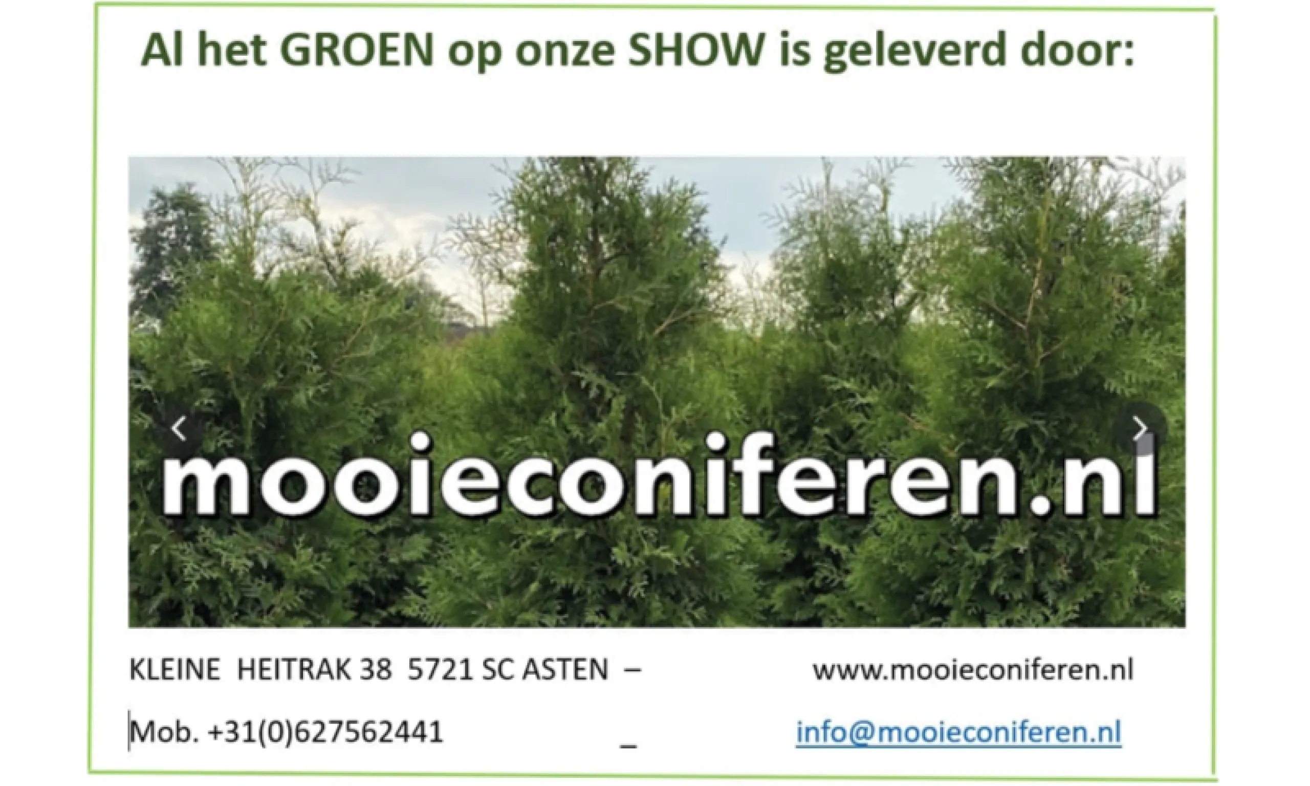 Mooieconiferen.nl