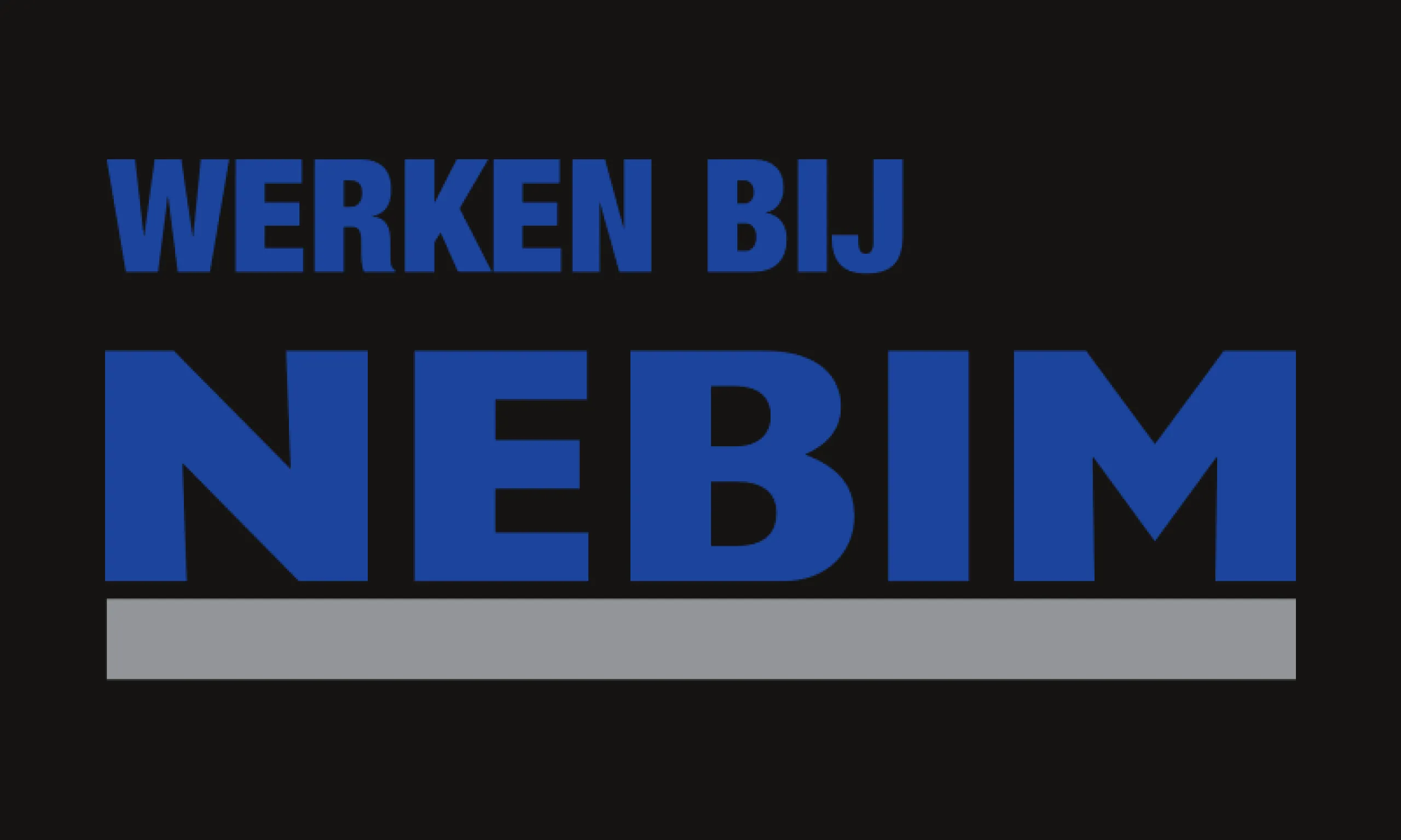 Werken bij Nebim